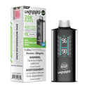 FLAVOUR BEAST UNLEASHED DCP 20K - EPIC WATERMELON KIWI (ONTARIO)