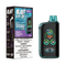 GRAPE ICE - FASTA BLAST 30K (20mL) (ONTARIO)