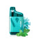 POLAR MINT - VUSE GO 5K 2.0 (ONTARIO)
