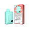 STLTH BOX 8K PRO DISPOSABLE - ARCTIC MINT (ONTARIO)