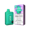 STLTH BOX 8K PRO DISPOSABLE - HONEYDEW MANGO ICE (ONTARIO)