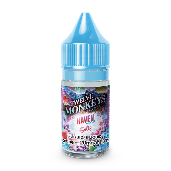 TWELVE MONKEYS ICE AGE SALTS - HAVEN ICED (30mL) (ONTARIO)
